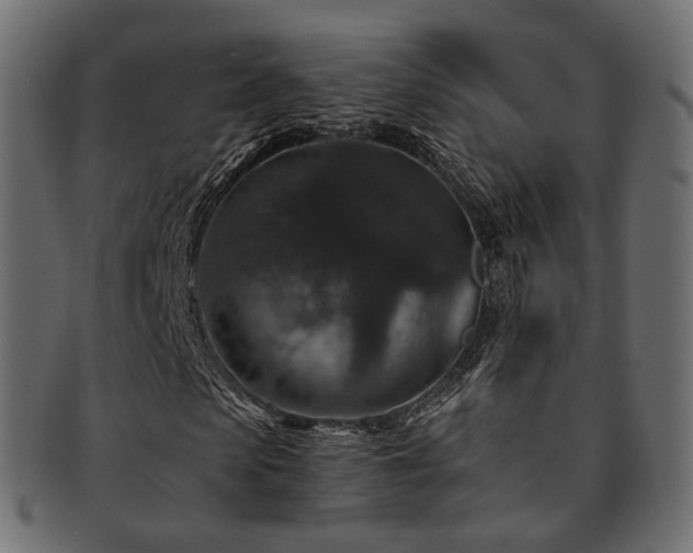 X0000093130913200709261345