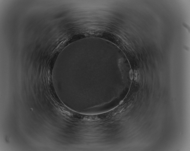 X0000093130915200709261345