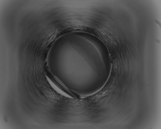 X0000093130916200709261345
