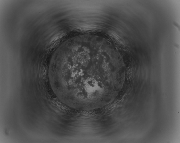 X0000093130917200709261345