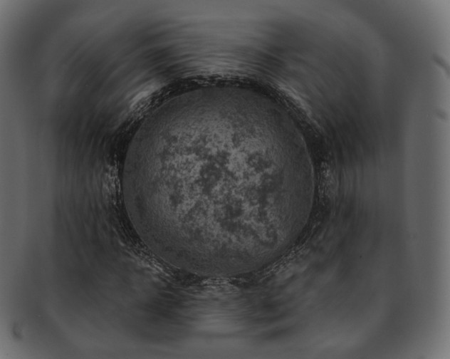 X0000093130918200709261345
