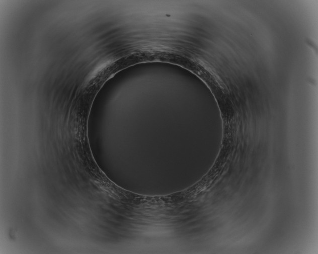 X0000093130919200709261345
