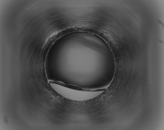 X0000093130920200709261345