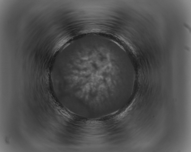 X0000093130921200709261345