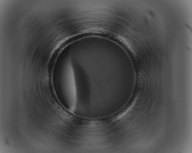 X0000093130923200709261345