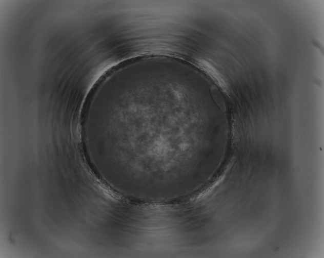 X0000093130924200709261345