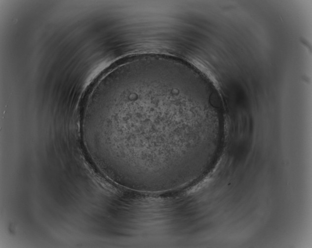 X0000093130925200709261345