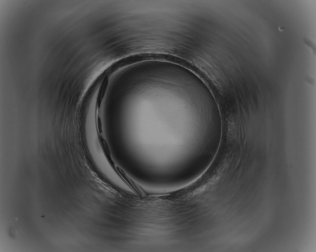 X0000093130926200709261345