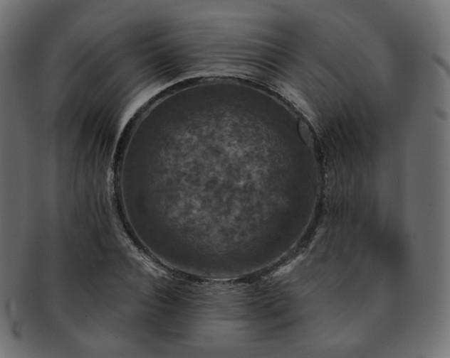 X0000093130928200709261345