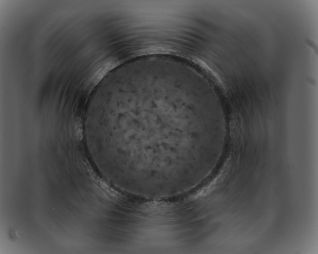 X0000093130929200709261345