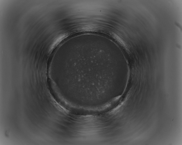 X0000093130930200709261345