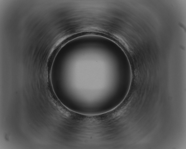 X0000093130931200709261345