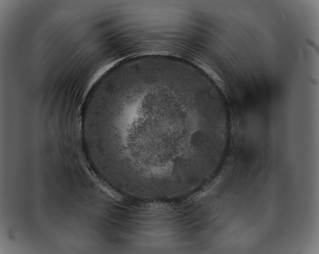 X0000093130933200709261345
