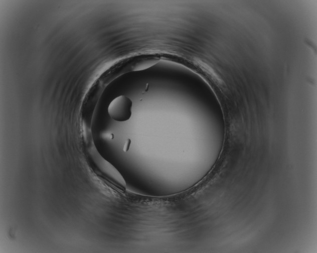 X0000093130934200709261345