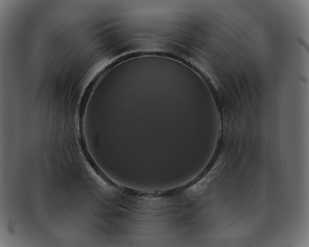X0000093130935200709261345