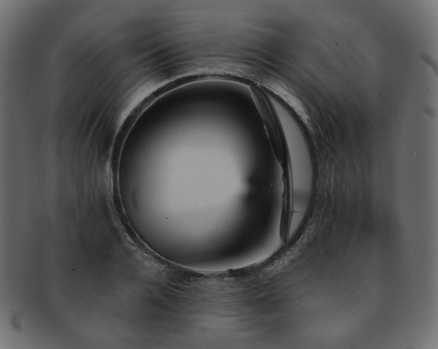 X0000093130936200709261345