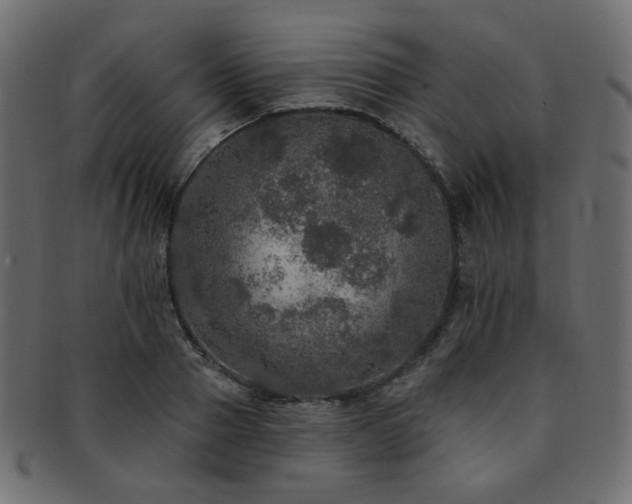 X0000093130937200709261345