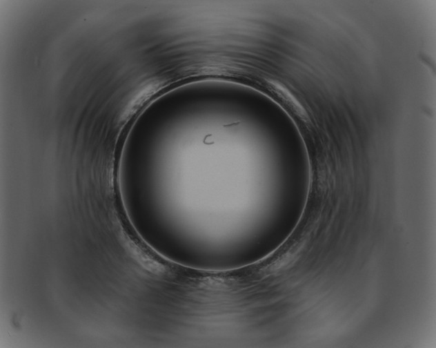 X0000093130938200709261345