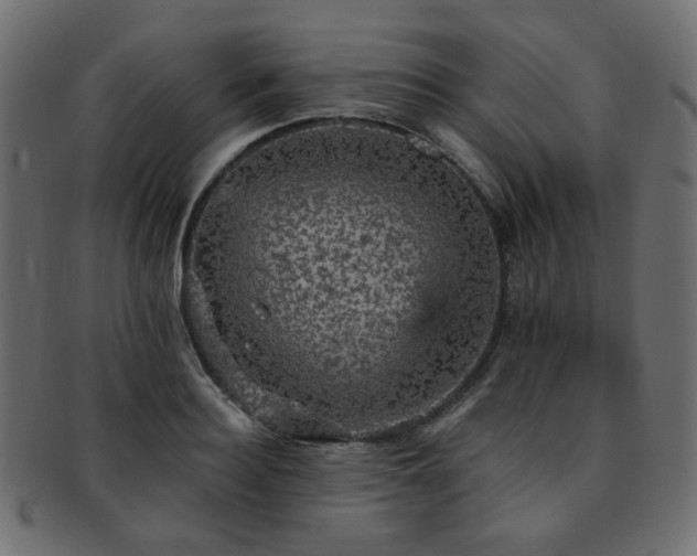 X0000093130940200709261345