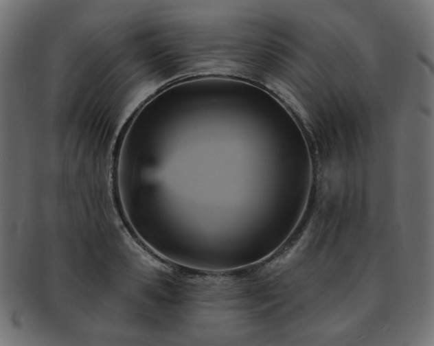 X0000093130941200709261345