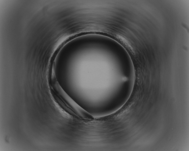 X0000093130942200709261345