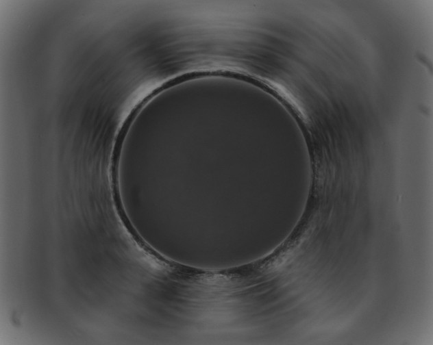 X0000093130943200709261345