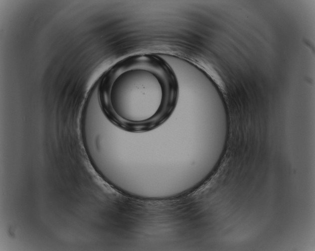 X0000093130944200709261345