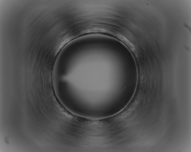 X0000093130945200709261345