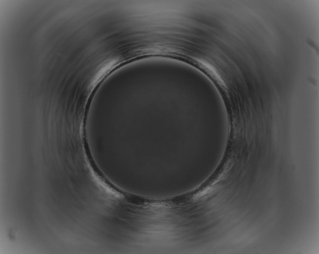 X0000093130946200709261345