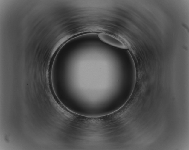 X0000093130947200709261345