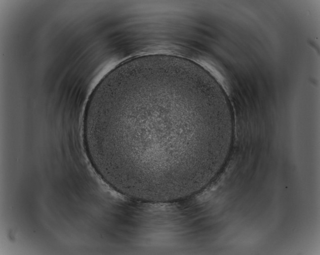X0000093130949200709261345