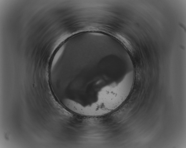 X0000093130950200709261345