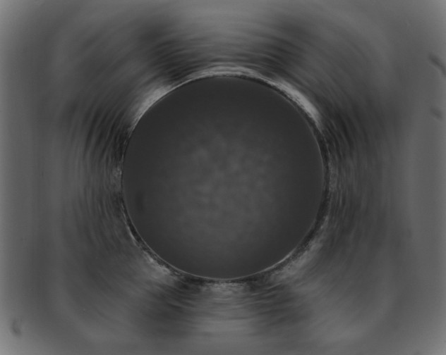 X0000093130953200709261345