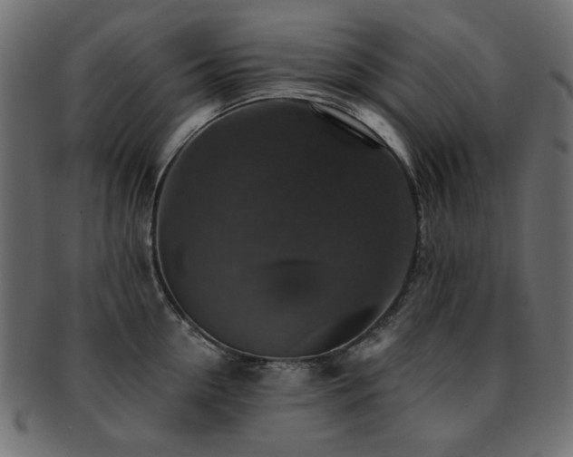 X0000093130954200709261345