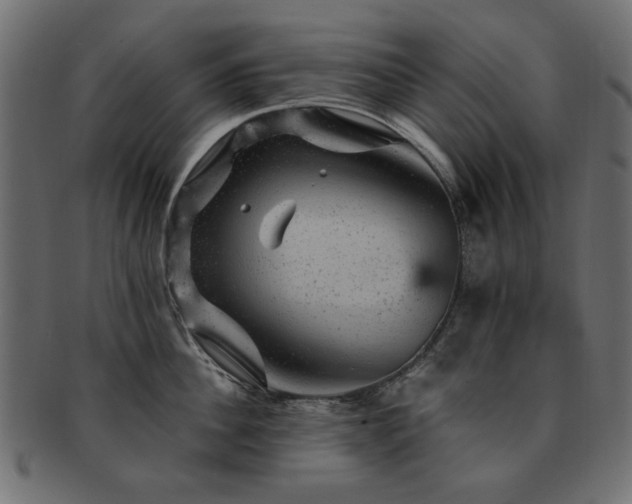 X0000093130956200709261345