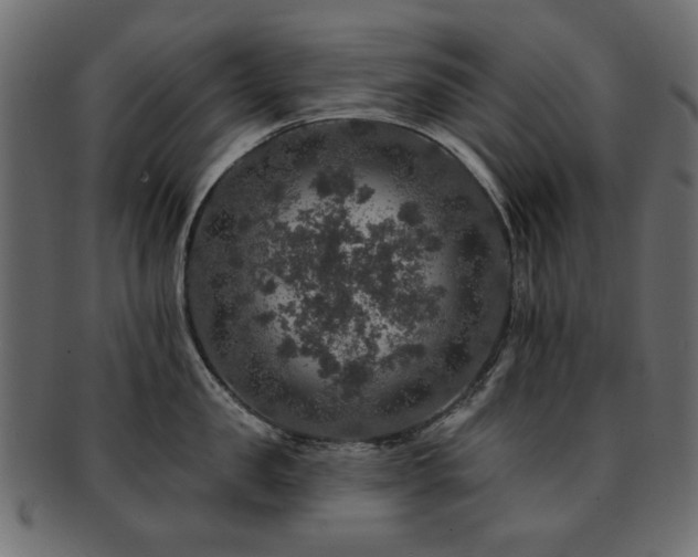 X0000093130957200709261345