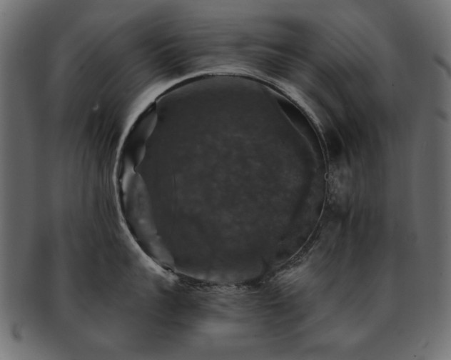 X0000093130959200709261345
