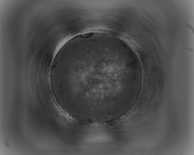 X0000093130960200709261345