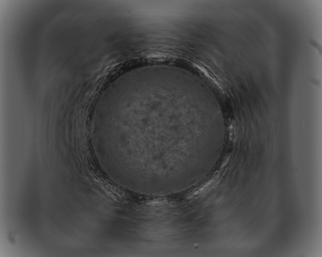 X0000093130961200709261345