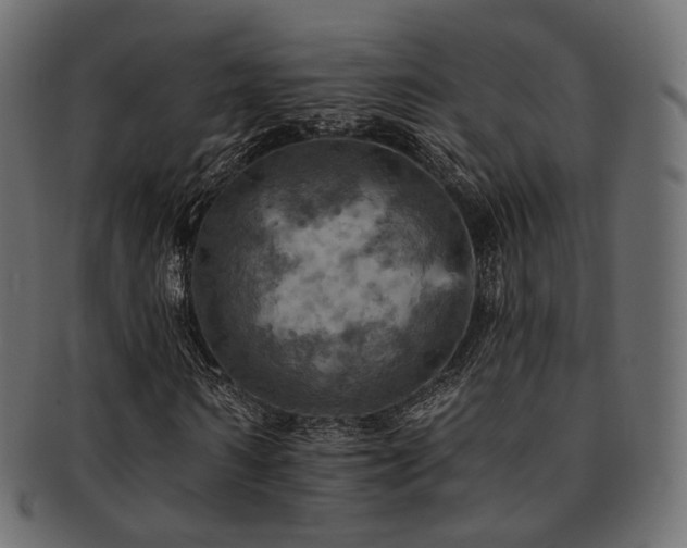 X0000093130962200709261345