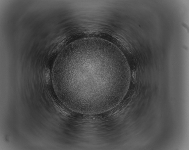 X0000093130963200709261345