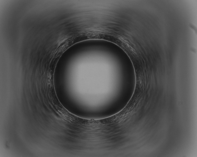 X0000093130964200709261345