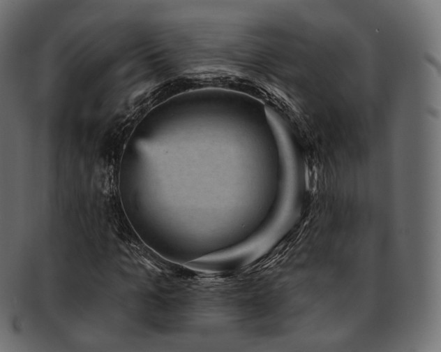 X0000093130965200709261345