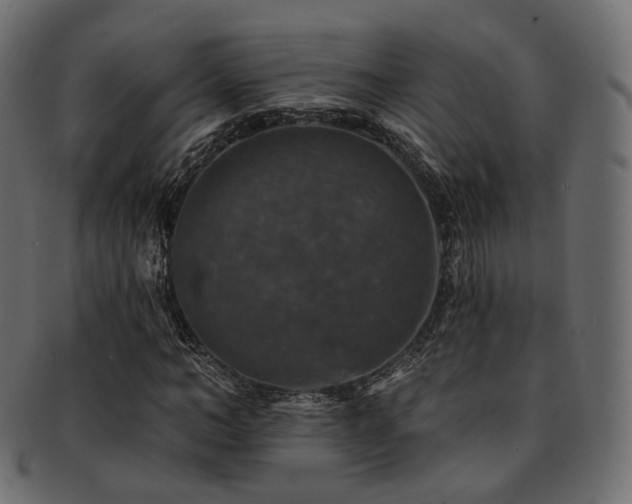 X0000093130966200709261345
