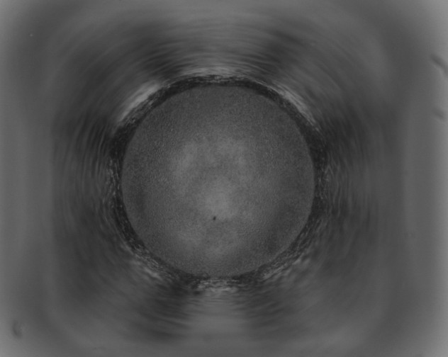 X0000093130967200709261345
