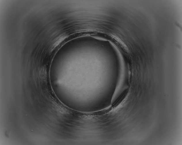 X0000093130969200709261344