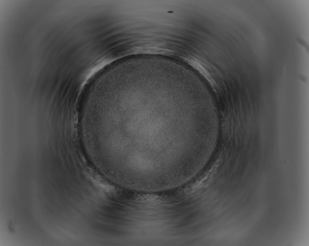 X0000093130971200709261344