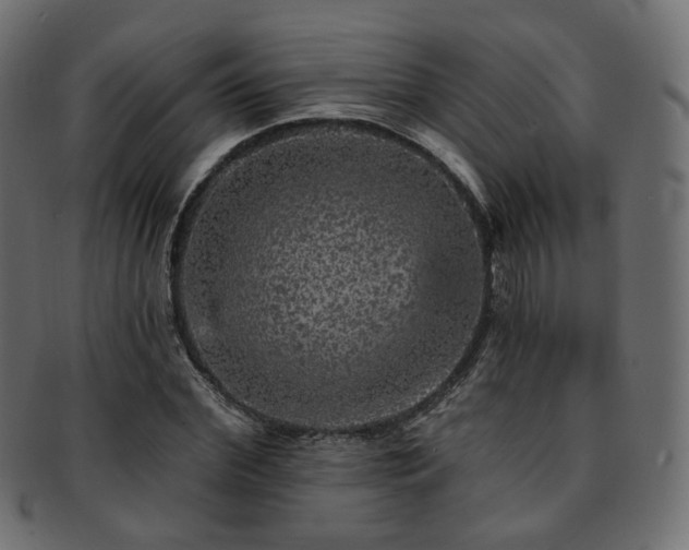 X0000093130972200709261344