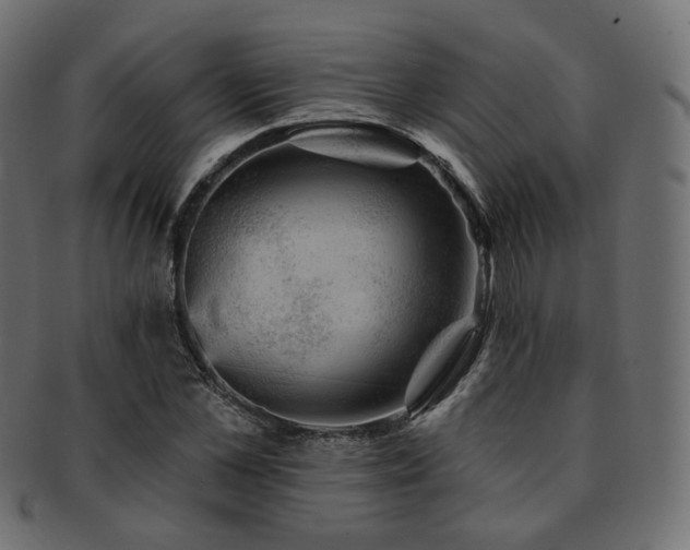 X0000093130973200709261344