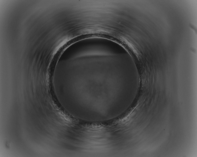 X0000093130975200709261344